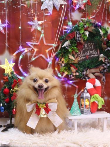 20231206リーくん